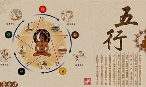 肺癌吃什么药效果最好-肺癌吃什么东西补营养网- 肺癌吃什么营养好知识,分享肺癌吃什么东西补营养最快